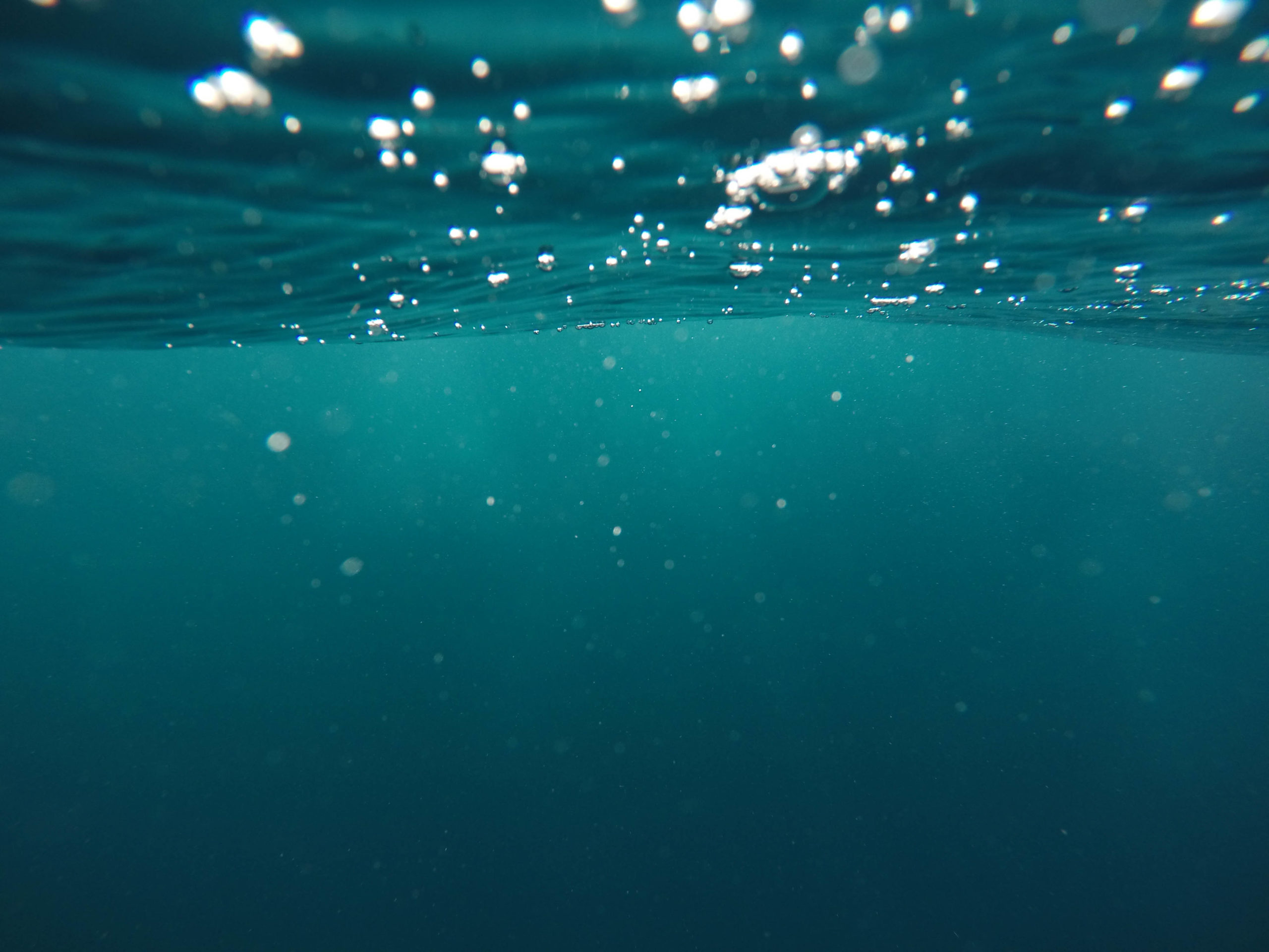 underwater shot